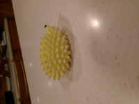 wp_20151229_003.jpg